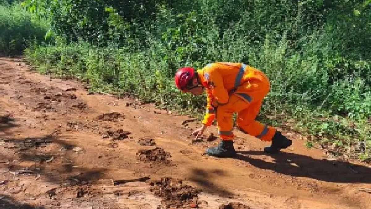Desaparecido é localizado em área de mata em Engenheiro Navarro